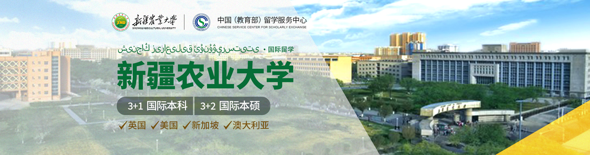 海校智选